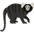 Marmoset Coordinating Center